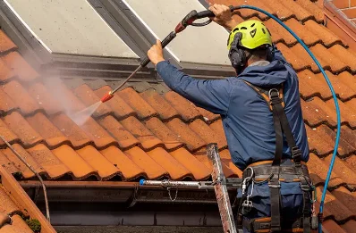 Démoussage et hydrofuge de toiture à Virignin